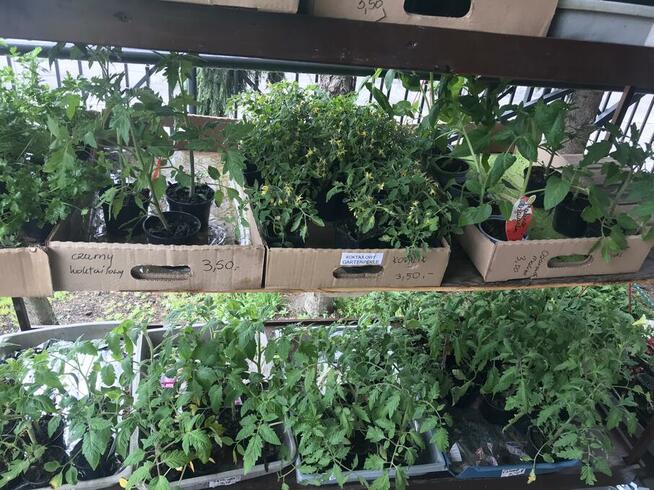 Sprzedawca w sklepie ogrodniczym