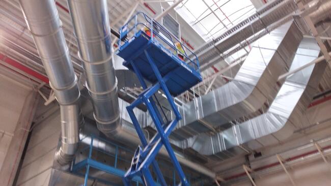 Wycinka, Przycinka, Pielęgnacja Drzew Zawiercie okolice