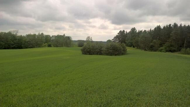 Mazury! Stare Juchy działki 3000m w okolicach jeziora Garbas