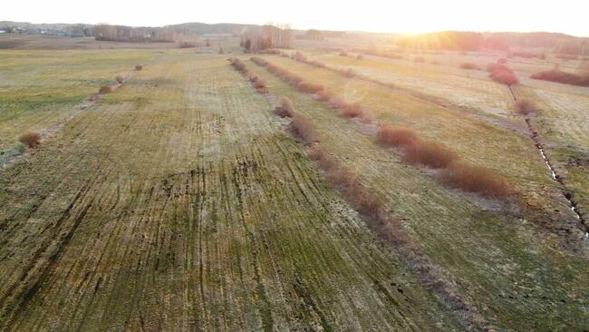 Działka 1,2 ha z własną linią brzegową rzeki Bogusze