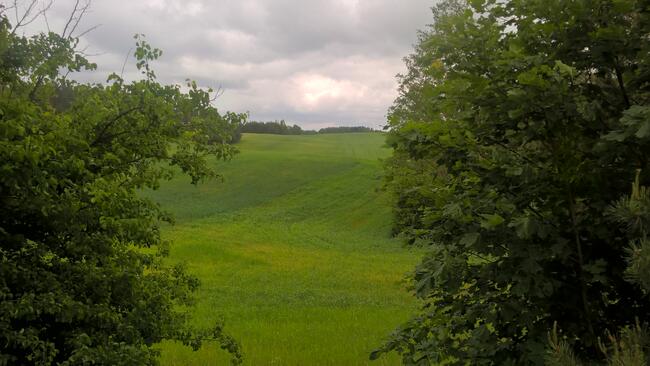 Mazury! Stare Juchy działki 3000m w okolicach jeziora Garbas