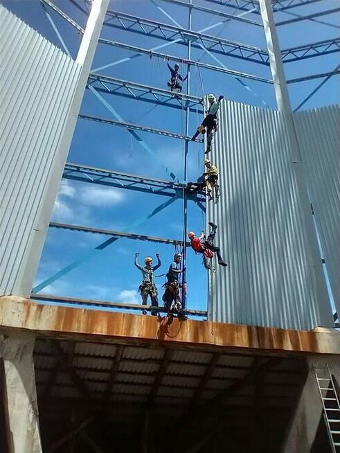 Usługi alpinistyczne, arborysta, alpinista przemyslowy