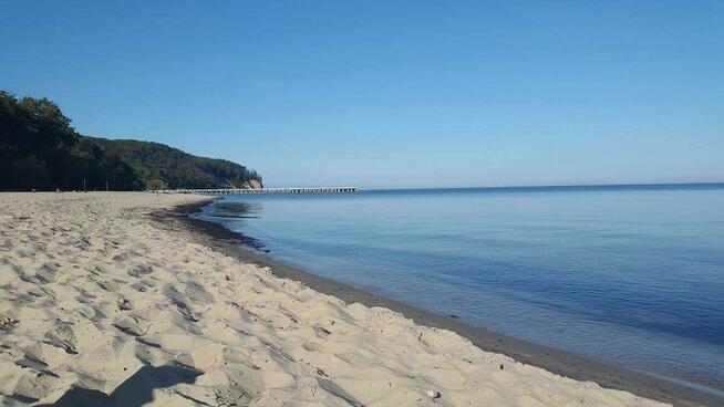 Wynajmę mieszkanie 2 pok.52m2 w centrum Gdyni blisko plaży