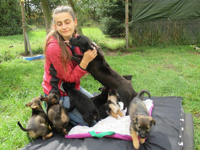 „Mika” – domowy hotelik dla zwierząt