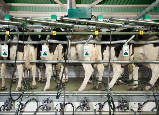 MONTER ISTALACJI UDOJOWYCH GEA ,SERAP