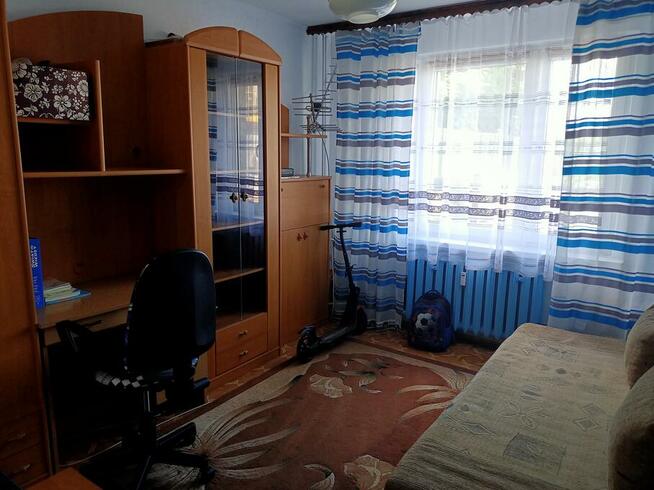 Mieszkanie wynajmę od lipca