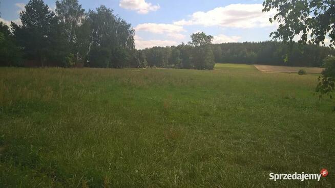 SIEDLISKO NA PODLASIU-SPRZEDAM!!