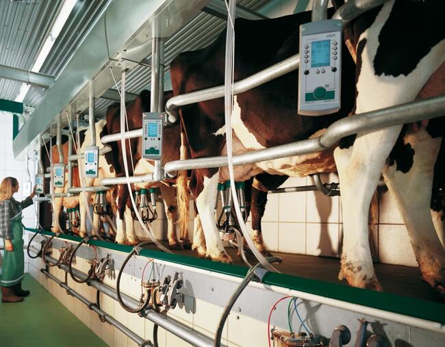 MONTER INSALACJI UDOJOWYCH FIRMA {GEA WESTFALIA, SERAP}