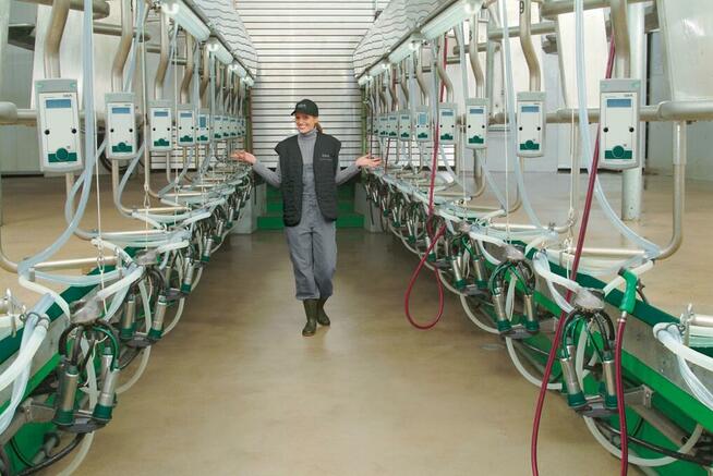 MONTER ISTALACJI UDOJOWYCH GEA ,SERAP