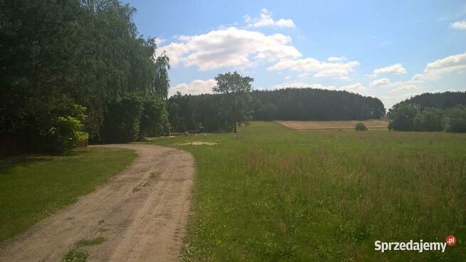 SIEDLISKO NA PODLASIU-SPRZEDAM!!