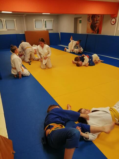 Nowa przygoda z Judo.