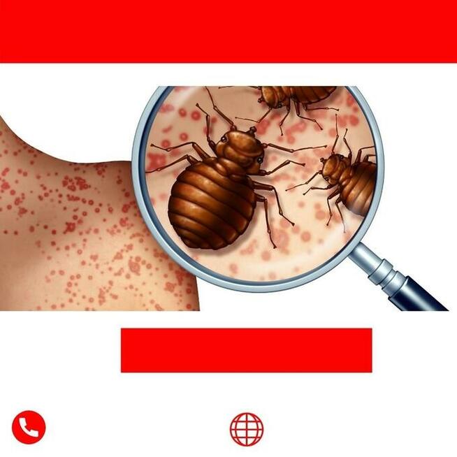 Dezynsekcja, Dezynfekcja, Deratyzacja PRUSZKÓW