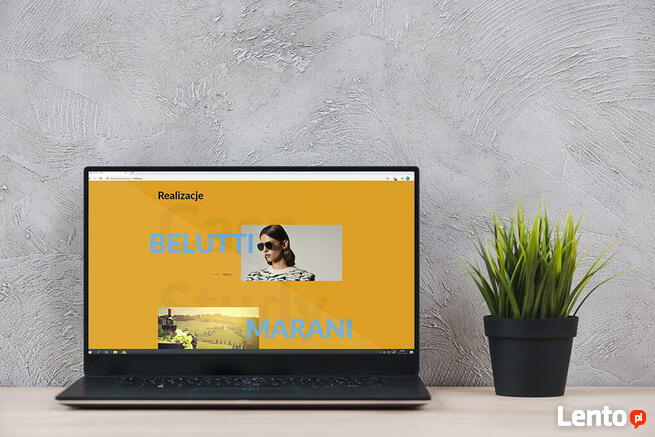 DSN STUDIO GRAFICZNE logo, www, ulotki, foldery TANIO i SZYB