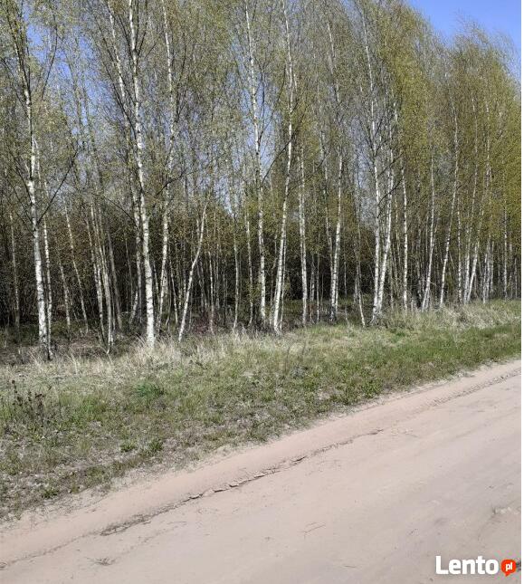 Działka budowlana 1015 m2, blisko jeziora, obok Chodcza