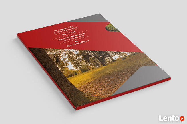 DSN STUDIO GRAFICZNE logo, www, ulotki, foldery TANIO i SZYB