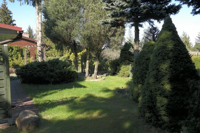 ROD DUŻA PIĘKNA DZIAŁKA REKREACYJNA Z DOMKIEM 730 M2