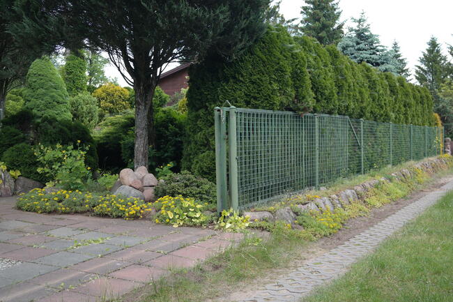 ROD DUŻA PIĘKNA DZIAŁKA REKREACYJNA Z DOMKIEM 730 M2