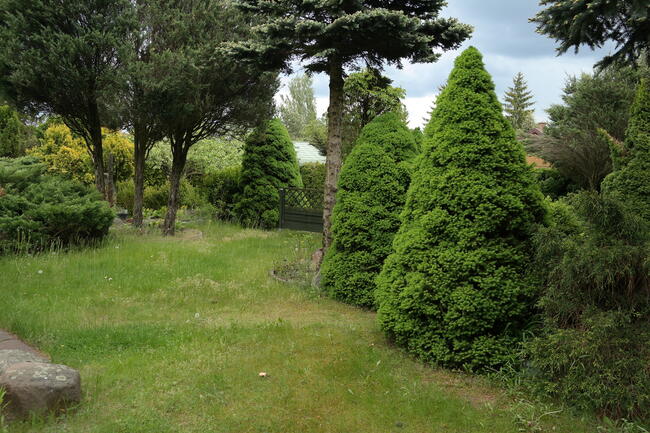 ROD DUŻA PIĘKNA DZIAŁKA REKREACYJNA Z DOMKIEM 730 M2