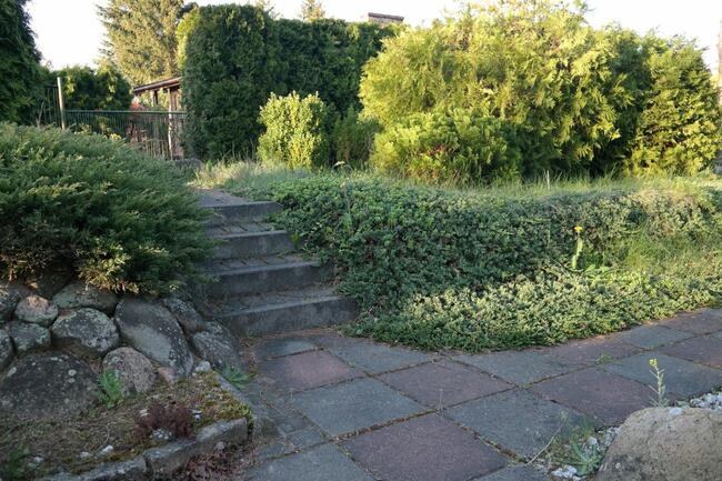 ROD DUŻA PIĘKNA DZIAŁKA REKREACYJNA Z DOMKIEM 730 M2