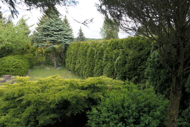 ROD DUŻA PIĘKNA DZIAŁKA REKREACYJNA Z DOMKIEM 730 M2