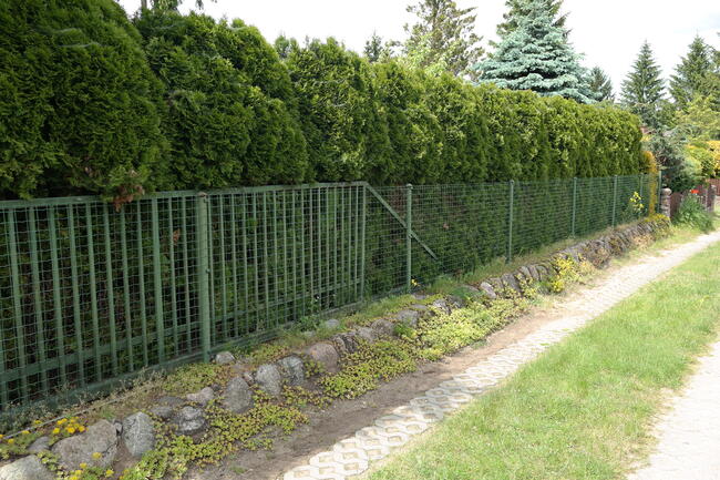 ROD DUŻA PIĘKNA DZIAŁKA REKREACYJNA Z DOMKIEM 730 M2