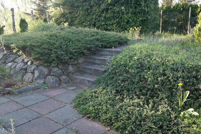 ROD DUŻA PIĘKNA DZIAŁKA REKREACYJNA Z DOMKIEM 730 M2