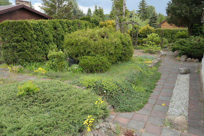 ROD DUŻA PIĘKNA DZIAŁKA REKREACYJNA Z DOMKIEM 730 M2