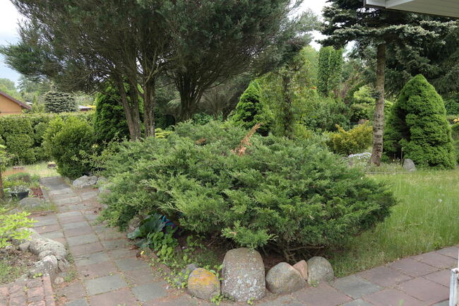 ROD DUŻA PIĘKNA DZIAŁKA REKREACYJNA Z DOMKIEM 730 M2