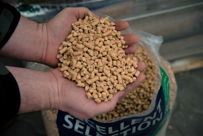 Pellet! Excellent Selection pelet dostawa/winda. Raty 0%