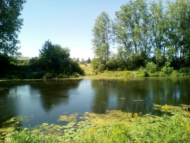 Białołęka-Warszawa 1000m2 ul. Białołęcka - działka budowlana