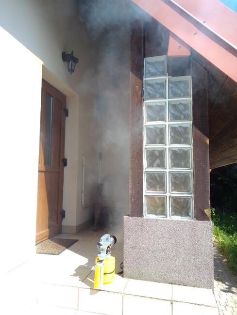 Likwidacja, usuwanie gniazd os, pszczół i szerszeni