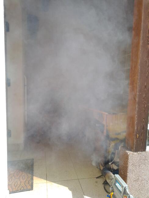 Likwidacja, usuwanie gniazd os, pszczół i szerszeni