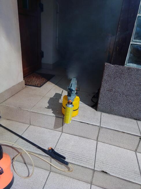 Likwidacja, usuwanie gniazd os, pszczół i szerszeni