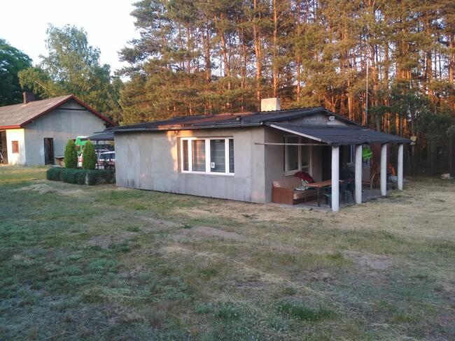 Pokoje, Kwatery, jeziorko ,w lesie Madaje Nowe woj. Łódzkie