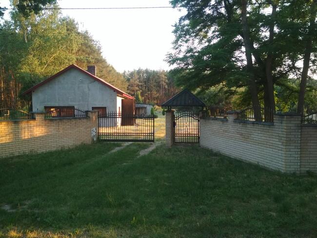 Pokoje, Kwatery, jeziorko ,w lesie Madaje Nowe woj. Łódzkie