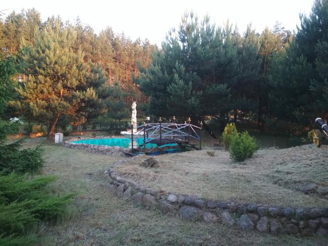 Pokoje, Kwatery, jeziorko ,w lesie Madaje Nowe woj. Łódzkie