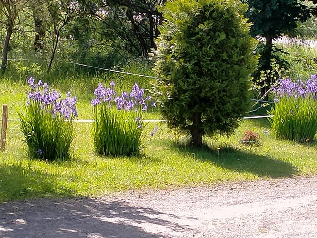 domki całoroczne i pokoje