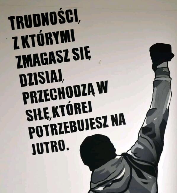 Studio trening / Trener Personalny / Instruktor Boksu / Diet