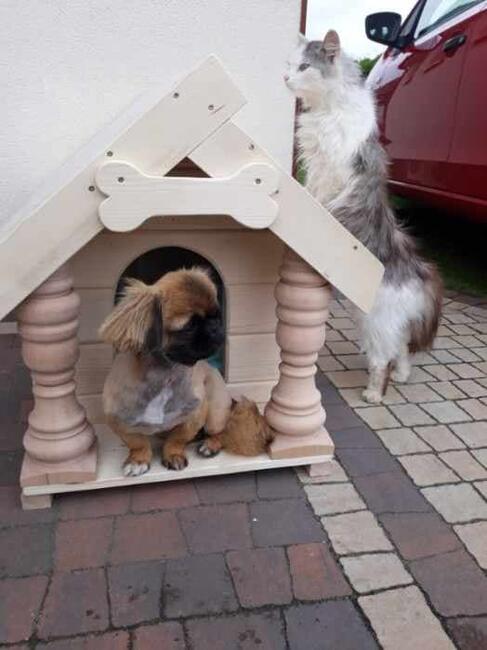 Buda dla psa roz.od S-XXL Cena od 300zł-700zł Ocieplona+deko