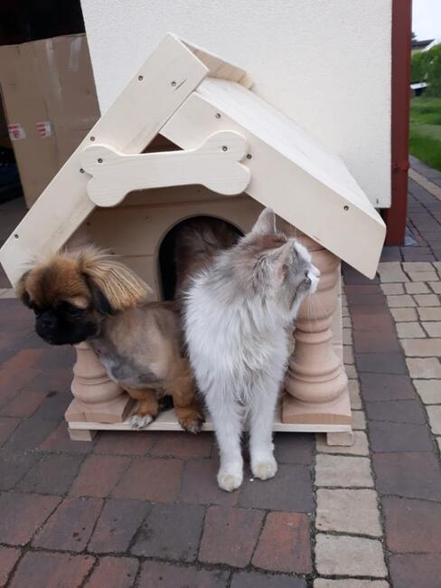 Buda dla psa roz.od S-XXL Cena od 300zł-700zł Ocieplona+deko