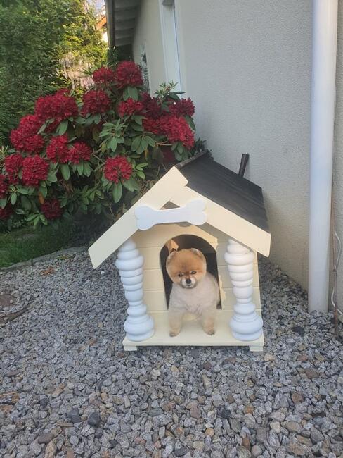 Buda dla psa, kota ocieplana. Duża XXL , XL, M,S