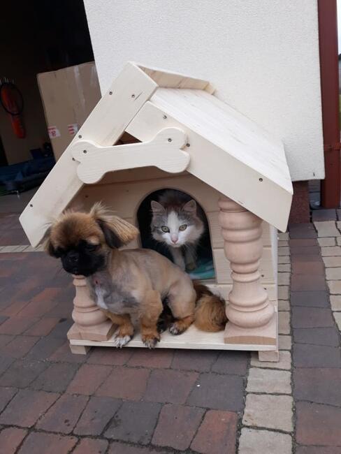 Buda dla psa, kota ocieplana. Duża XXL , XL, M,S