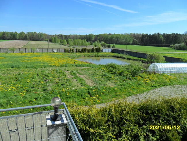 sprzedam dom i siedlisko