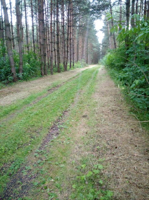 Sprzedam działkę 20zł. M2