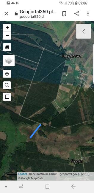 Dzalke w lesie łąka rzeka Jaryszewo