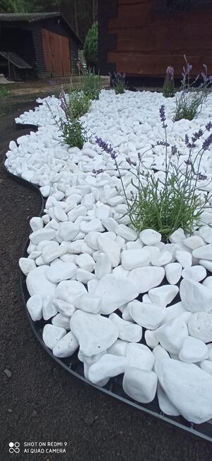 Wertykulacja, aeracja i koszenie trawników. BanGarden