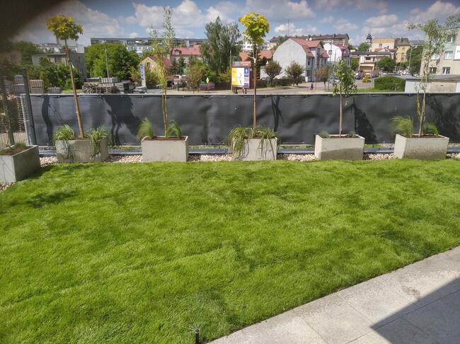 Ogrody, Projekty, Automatyczny System Nawodnienia itd.