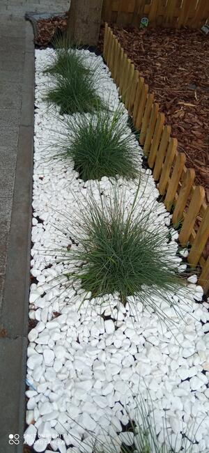 Wertykulacja, aeracja i koszenie trawników. BanGarden