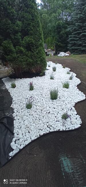 Wycinka drzew i prace ogrodowe- Zgierz i okolice. BanGarden