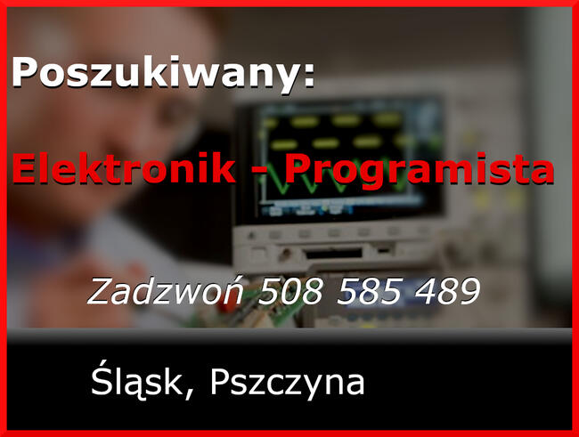 Elektronik Programista